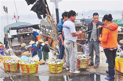 徐闻农民惜"信"如命