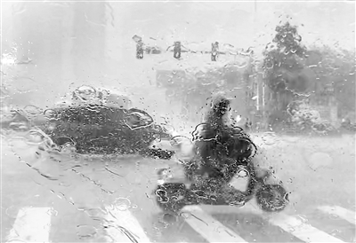 3月6日上午,在人民大道广湛路口,市民骑着电动车顶风冒雨赶路.