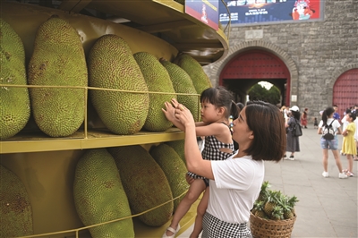 诱人菠萝蜜等您来品尝